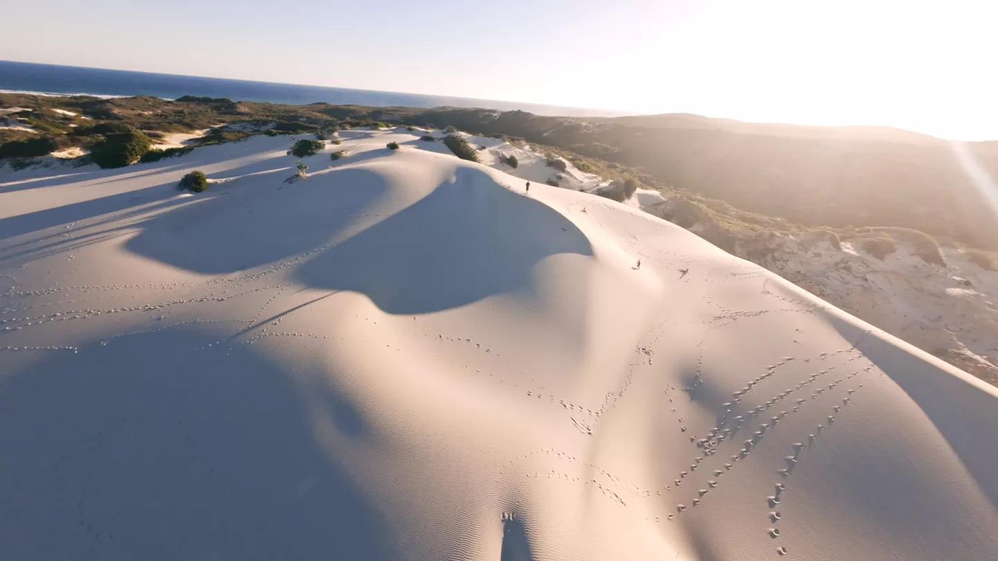 IMMERSIVE ENVIRONMENTS